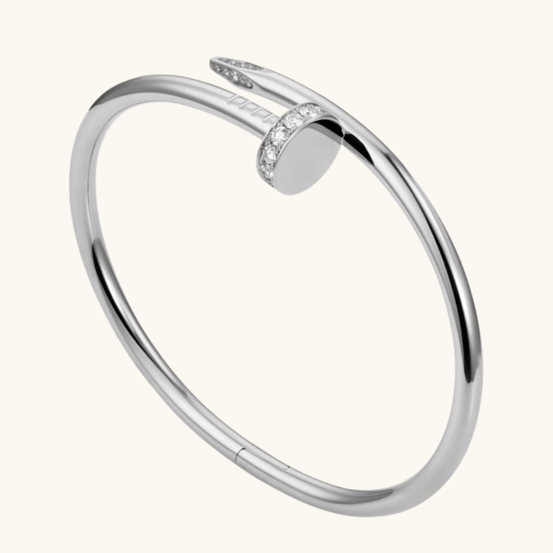 Elegant Deluxe Edition of Silver Nails